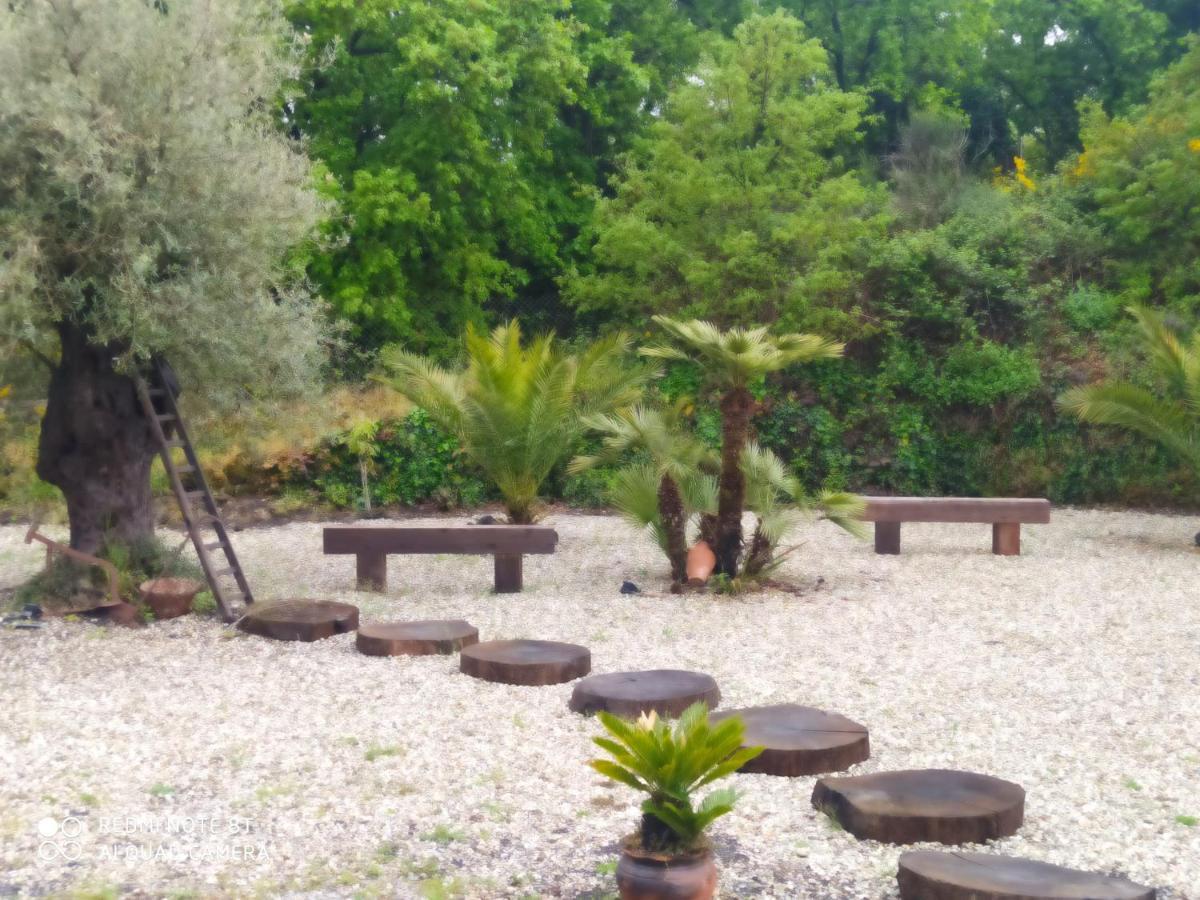 Antico Palmento Dell'Etna Hotell Pedara Eksteriør bilde