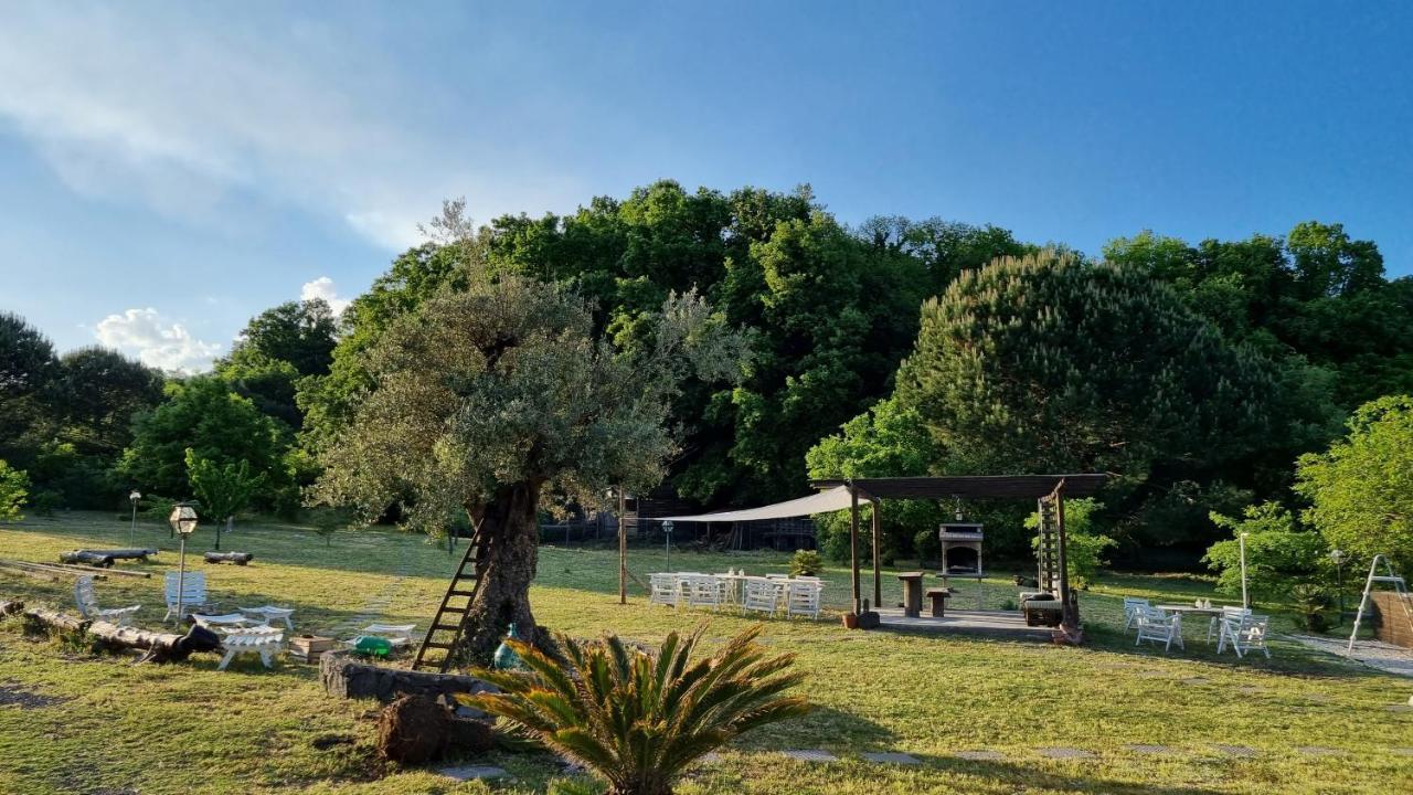 Antico Palmento Dell'Etna Hotell Pedara Eksteriør bilde